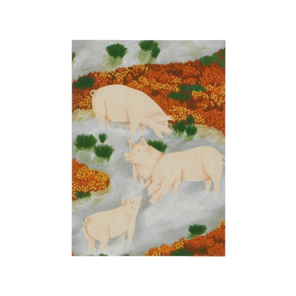 Carte, World Animal Protection, cochons Carte, World Animal Protection, cochons