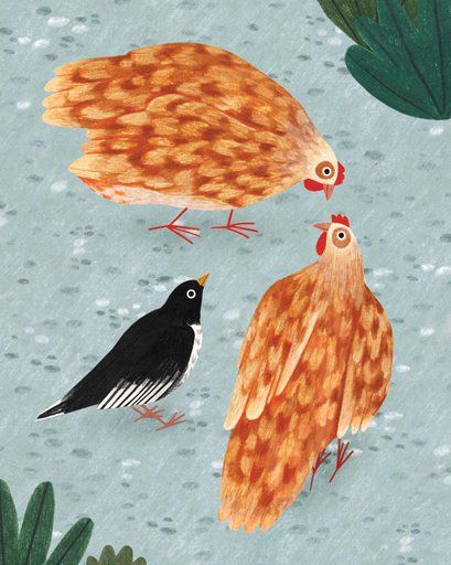 Kaart, World Animal Protection, koeien