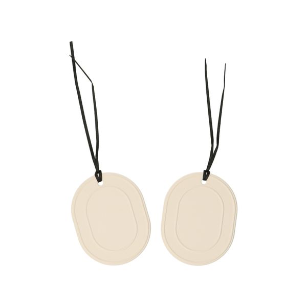 Kasthanger tegen vocht en geurtjes, kiezelaarde, doosje met 2 stuks