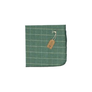 Dust cloth, organic cotton, green, 45 x 45 cm