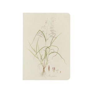 Notebook, fescue, A5
