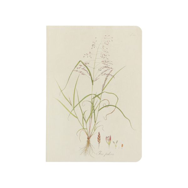 Carnet de notes, l'herbe d'avoine, A5