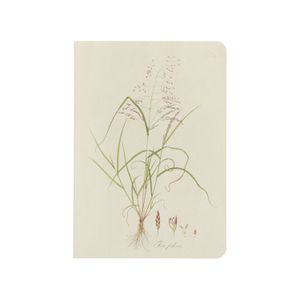 Carnet de notes, l'herbe d'avoine, A5