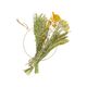 Droogbloemen, brievenbuspakket, geel