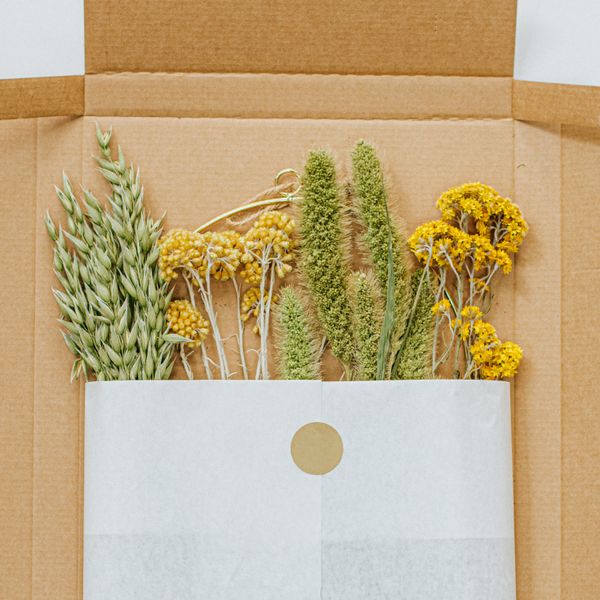 Droogbloemen, brievenbuspakket, geel