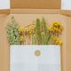 Droogbloemen, brievenbuspakket, geel