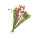 Droogbloemen, brievenbuspakket, roze