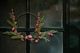 Droogbloemen, brievenbuspakket, roze