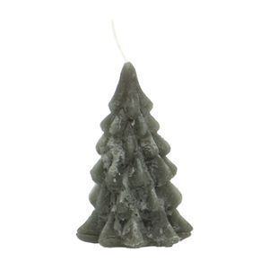 Bougie, sapin, vert, petit