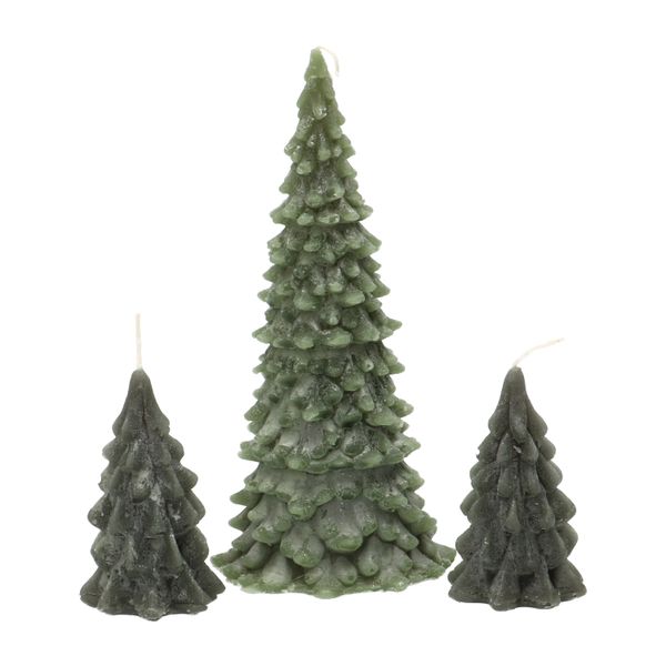 Bougie, sapin, vert, petit