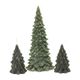 Bougie, sapin, vert, petit