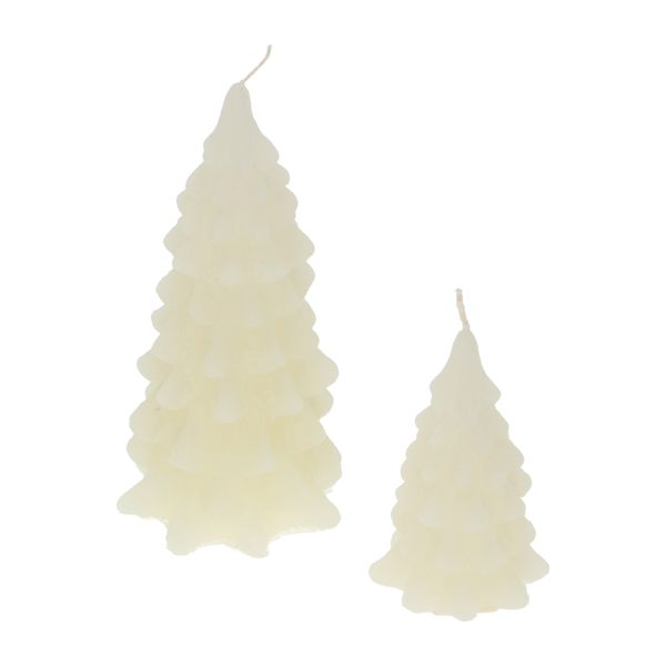 Bougie, sapin, blanc, moyen