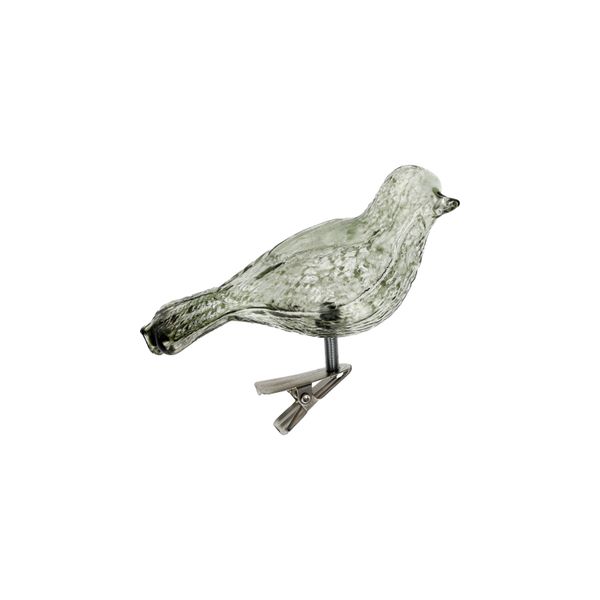 Knijper vogel, glas, groen