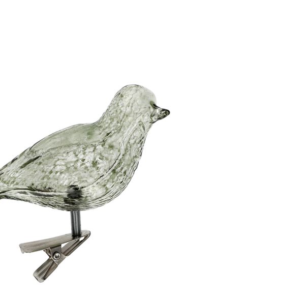 Knijper vogel, glas, groen