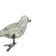 Knijper vogel, glas, groen