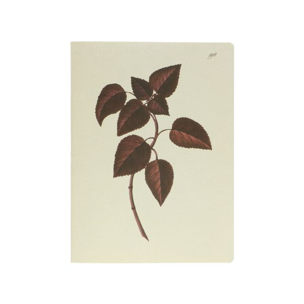 Schrift, herfstbladeren, 25 x 19 cm