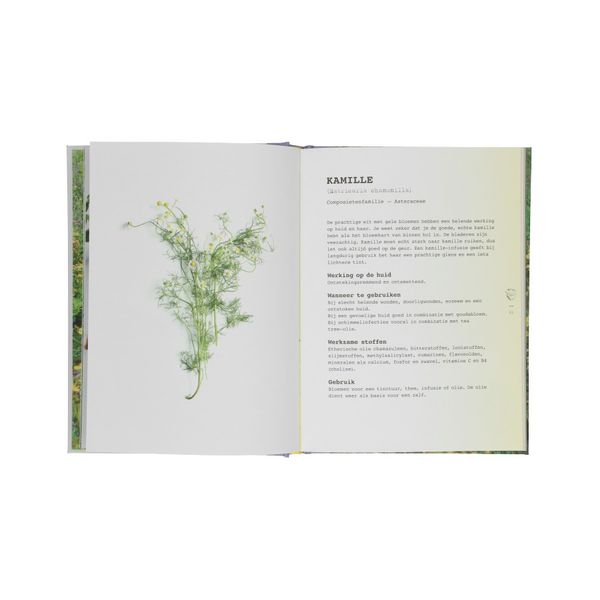 Plant & cosmetica, Leoniek Bontje