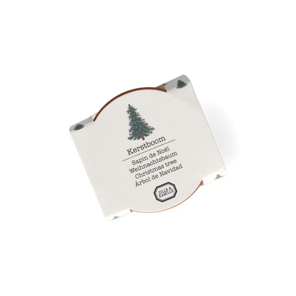 Cultivez votre propre sapin de Noël, pot et graines