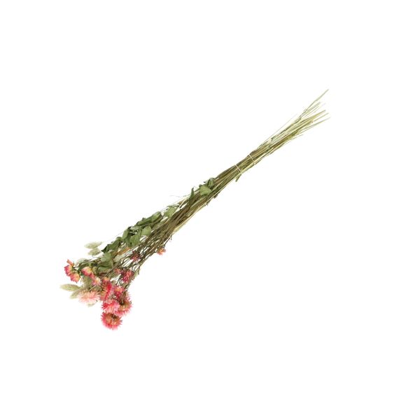 Trockenblumen, natürlich getrocknet und rosa