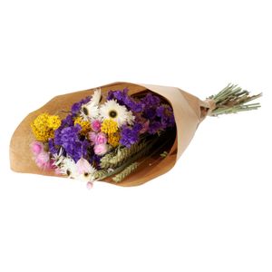 Trockenblumen, verschiedene Farben