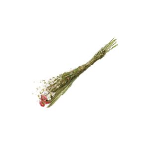 Trockenblumen, gemischter Strauß, weiss und rosa