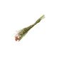 Trockenblumen, gemischter Strauß, weiss und rosa
