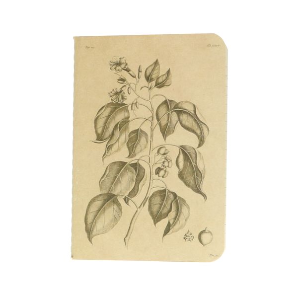 Cahier, ligné, feuilles, 10,5 x 14,8 cm