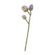 Vilten bloem, paars