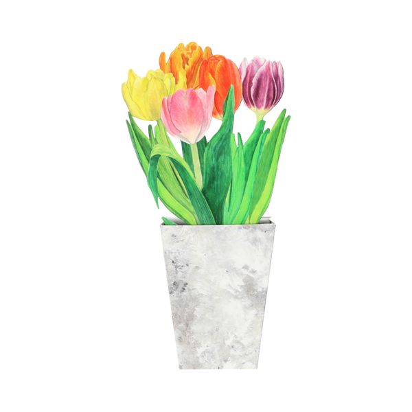 Kaart 3D met envelop, tulpen