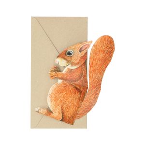 Kaart 3D met envelop, eekhoorn 