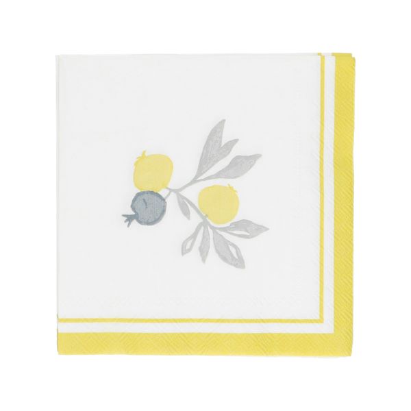 Servet, papier, citroen 25 x 25 cm