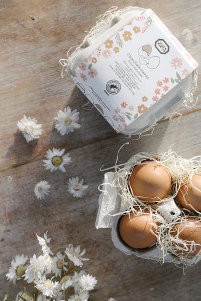 Hazelnoot praliné eieren in eierschaal, 4 stuks, doosje 200 gram