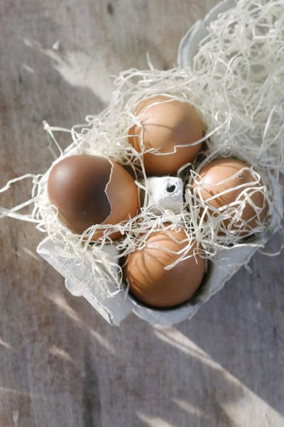 Hazelnoot praliné eieren in eierschaal, 4 stuks, doosje 200 gram