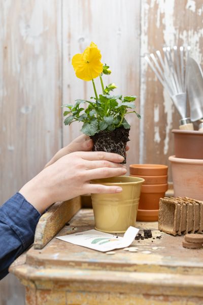 Bloempot ronde rand, licht terracotta, ø 17 cm