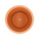 Light terracotta flowerpot with rounded lip, ø 23 cm