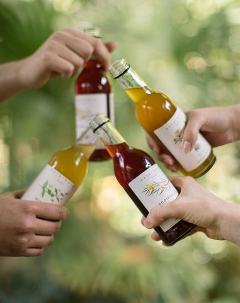 IJsthee, biologisch, rooibos, bes, chili, 250 ml