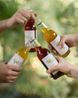 IJsthee, biologisch, rooibos, bes, chili, 250 ml