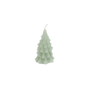 Kaars dennenboom, lichtgroen