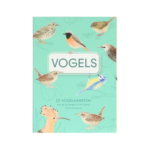Image of Vogel kaartenboekje, Uitgeverij Snor