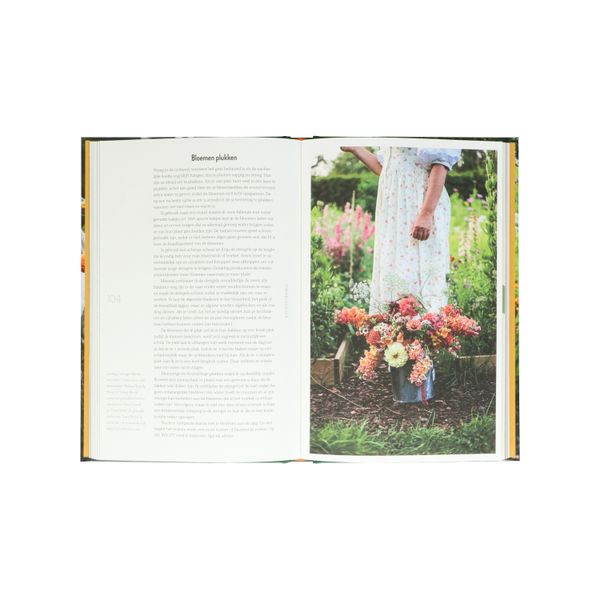 Een zomer vol bloemen, Hanna Wendelbo
