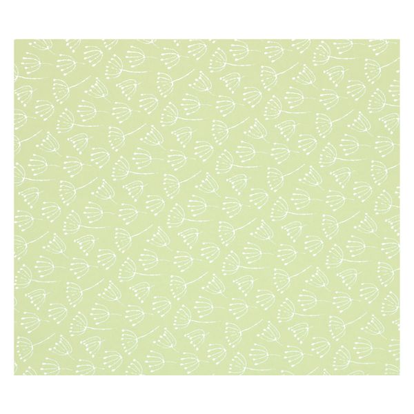 Wrapping paper, green, Umbelliferae motif 70 x 250 cm