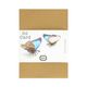 Carte, 3D, papillon Carte, 3D, papillon