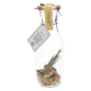 Mix voor mocktail, gember, sinaasappel en rozemarijn, 16 gram in karaf