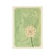 Card, dandelion