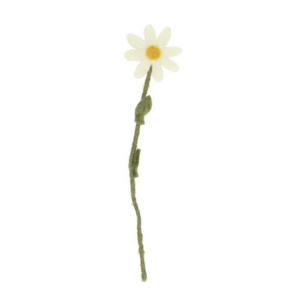 Image of Vilten bloem, madelief