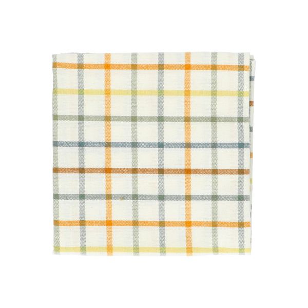 Theedoek, bio-katoen, frisse ruit, 50 x 70 cm
