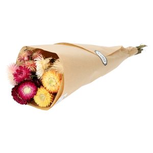 Trockenblumen, gemischter Strauß, Helychrisum