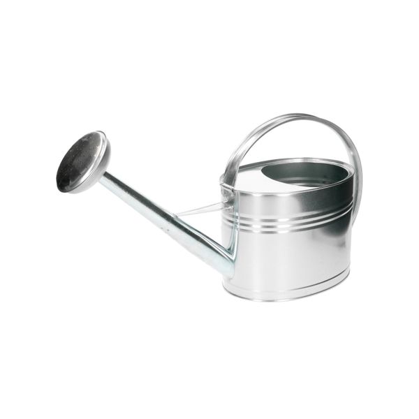 5 litre zinc watering can