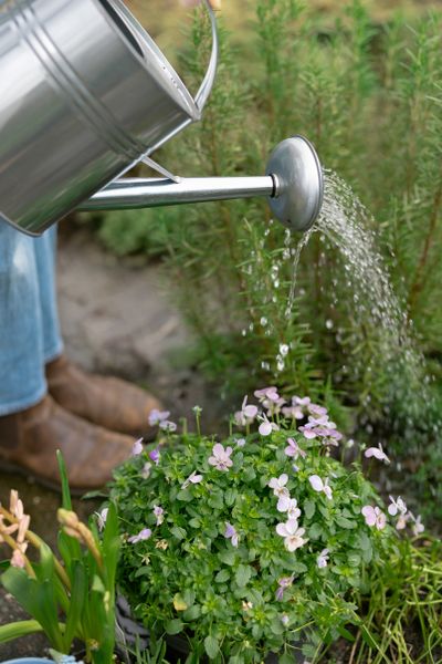 5 litre zinc watering can