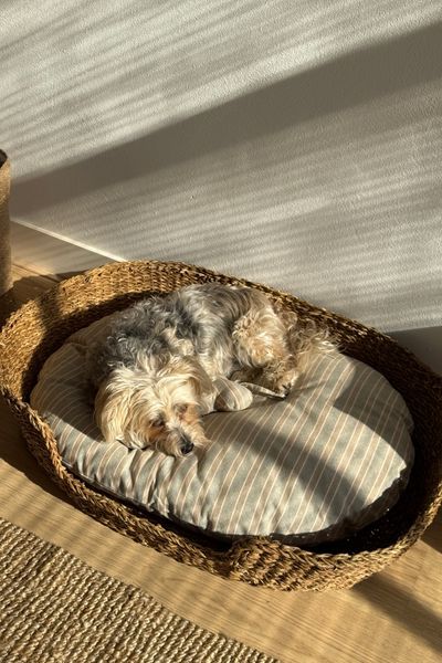 Panier pour chien, grand, jonc de mer, 90 x 70 x 18 cm